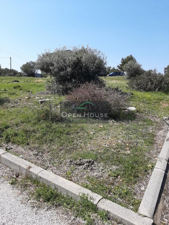Οικόπεδο 800 τ.μ. προς πώληση, Γερακινή