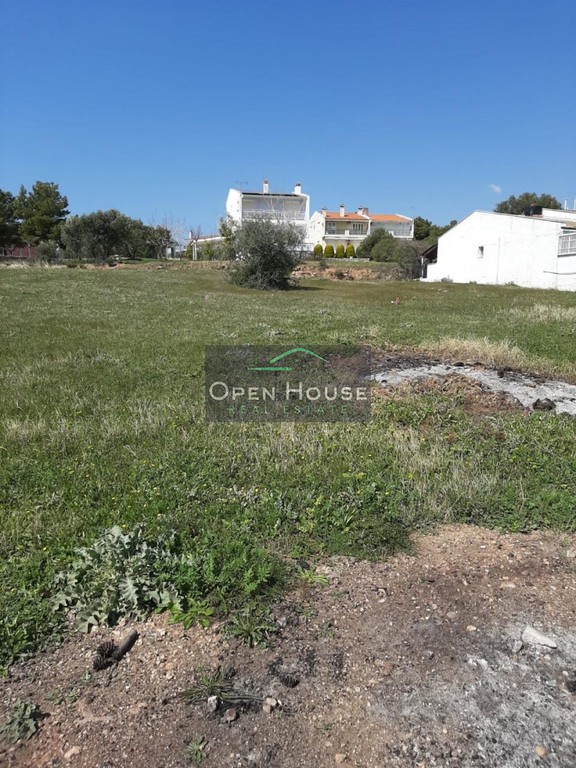 Οικόπεδο 800 τ.μ. προς πώληση, Γερακινή