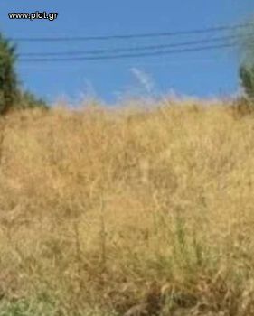 Οικόπεδο 472τ.μ. για πώληση-Βούλα » Πηγαδάκια