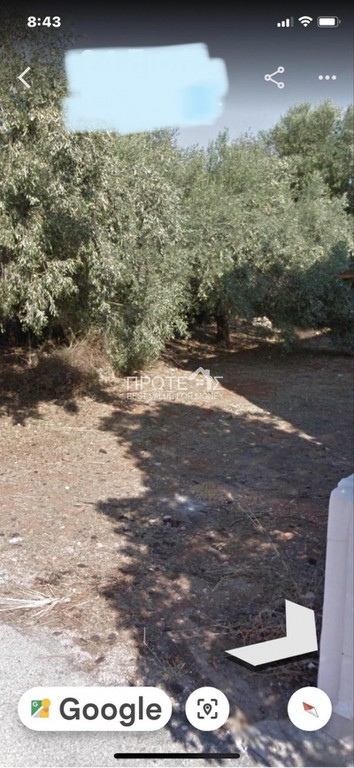 Οικόπεδο 225 τ.μ. πρός πώληση, Αθήνα - Ανατολικά Προάστια, Νέα Μάκρη