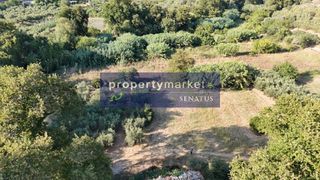 Αγροτεμάχια 1.157 τ.μ. για πώληση
