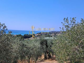 Αγροτεμάχια 3.500 τ.μ. για πώληση, Ν. Καβάλας, Ελευθερές-thumb-9