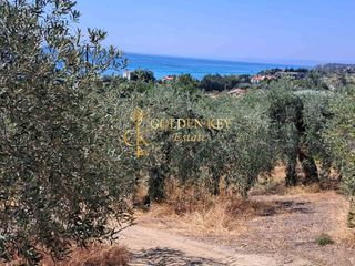 Αγροτεμάχια 3.500 τ.μ. για πώληση, Ν. Καβάλας, Ελευθερές-thumb-5