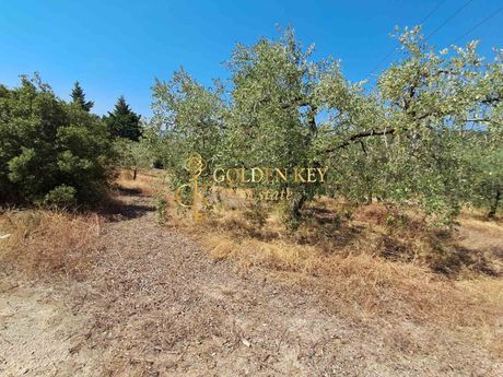Parcel 3.500sqm for sale-Eleitheres » Elaiochori