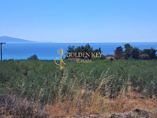 Αγροτεμάχια 3.500 τ.μ. για πώληση, Ν. Καβάλας, Ελευθερές-thumb-4