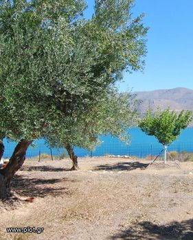 Land plot 4.100sqm for sale-Kefalonia » Erissos