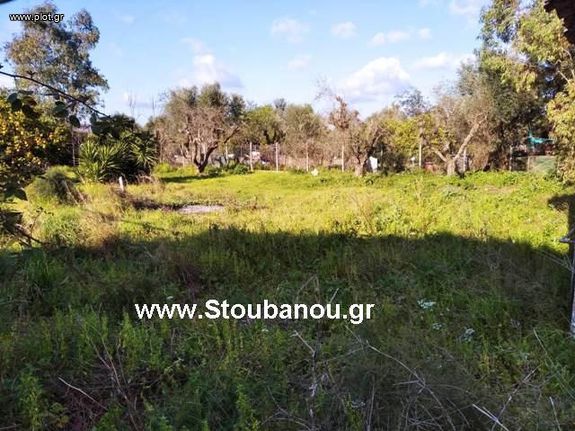 Land plot 1.230 sqm for sale, Ilia, Amaliada