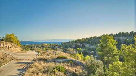 Οικόπεδο 400τ.μ. για πώληση-Κρανίδι » Βερβερούδα