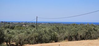 Οικόπεδο 5.800 τ.μ. για πώληση, Μεσσηνία, Γαργαλιάνοι-thumb-5