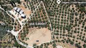 Land plot 5.800sqm for sale-Gargalianoi » Tragana