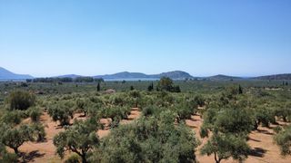 Οικόπεδο 5.800 τ.μ. για πώληση, Μεσσηνία, Γαργαλιάνοι-thumb-10