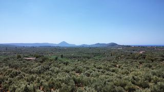 Οικόπεδο 5.800 τ.μ. για πώληση, Μεσσηνία, Γαργαλιάνοι-thumb-11