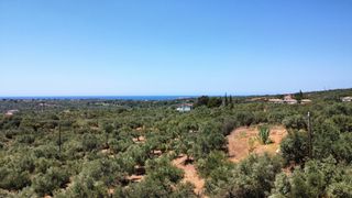 Οικόπεδο 5.800 τ.μ. για πώληση, Μεσσηνία, Γαργαλιάνοι-thumb-12