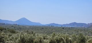 Οικόπεδο 5.800 τ.μ. για πώληση, Μεσσηνία, Γαργαλιάνοι-thumb-9