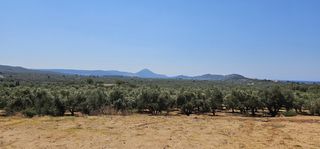 Οικόπεδο 5.800 τ.μ. για πώληση, Μεσσηνία, Γαργαλιάνοι-thumb-8