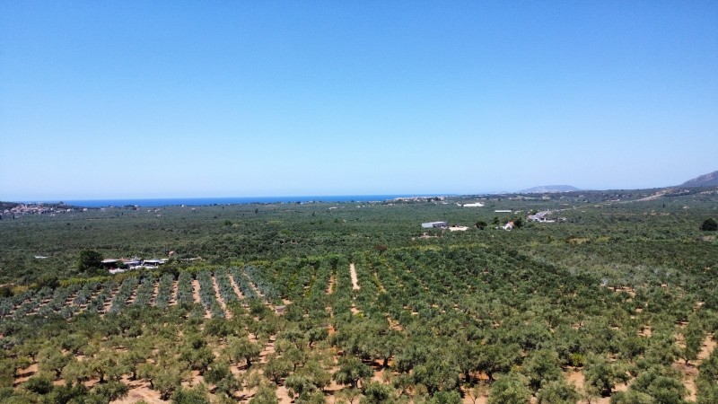Οικόπεδο 5.800 τ.μ. πρός πώληση, Μεσσηνία, Γαργαλιάνοι