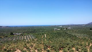 Οικόπεδο 5.800 τ.μ. για πώληση, Μεσσηνία, Γαργαλιάνοι-thumb-4