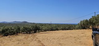 Οικόπεδο 5.800 τ.μ. για πώληση, Μεσσηνία, Γαργαλιάνοι-thumb-7