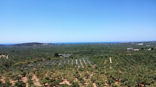 Οικόπεδο 5.800 τ.μ. για πώληση, Μεσσηνία, Γαργαλιάνοι-thumb-2