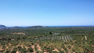 Οικόπεδο 5.800 τ.μ. για πώληση, Μεσσηνία, Γαργαλιάνοι-thumb-3