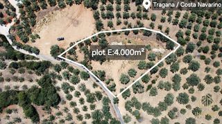 Οικόπεδο 4.000 τ.μ. για πώληση