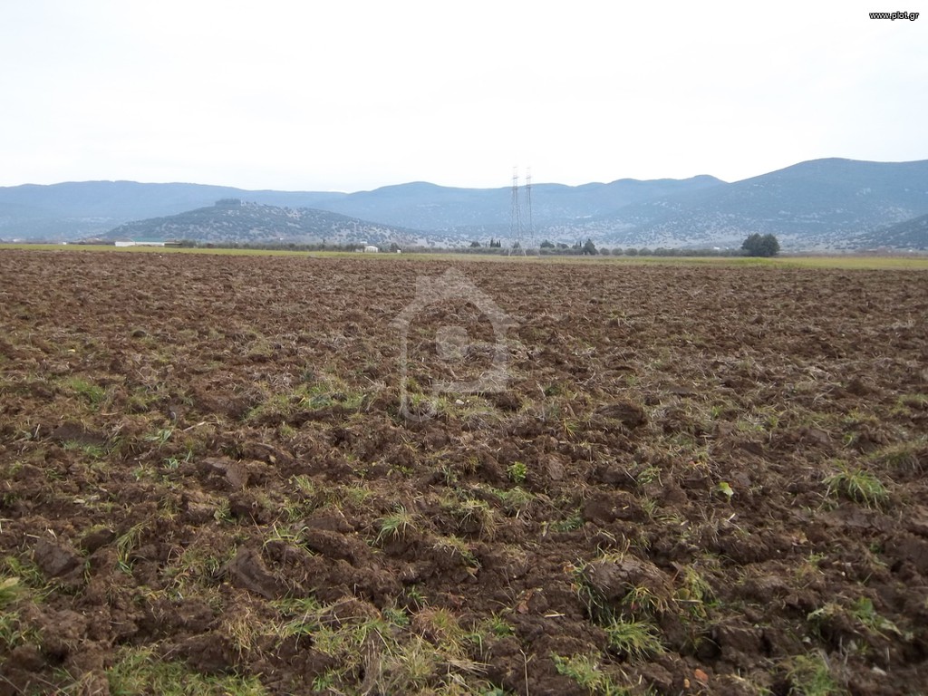 Αγροτεμάχια 2.960 τ.μ. για πώληση, Ν. Δράμας, Δοξάτο