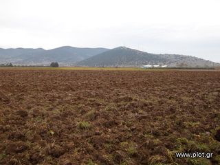 Αγροτεμάχια 2.960 τ.μ. για πώληση, Ν. Δράμας, Δοξάτο-thumb-1