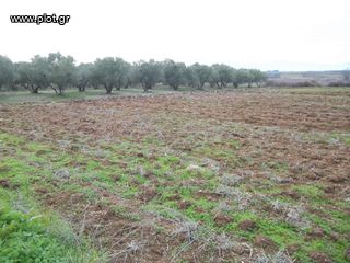 Αγροτεμάχια 2.960 τ.μ. για πώληση, Ν. Δράμας, Δοξάτο-thumb-2