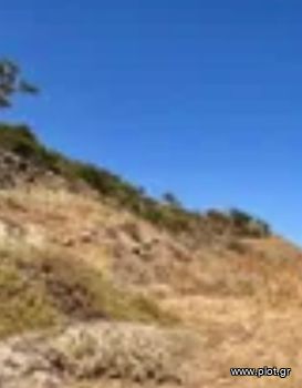 Οικόπεδο 52.000τ.μ. για πώληση-Αμοργός » Καμάρι