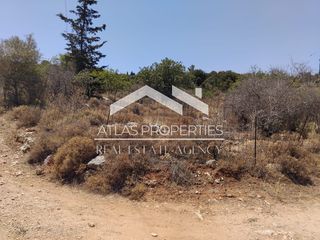 Οικόπεδο 4.603 τ.μ. προς πώληση, Γαβαλοχώρι-thumb-6