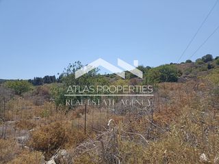 Οικόπεδο 4.603 τ.μ. προς πώληση, Γαβαλοχώρι-thumb-5
