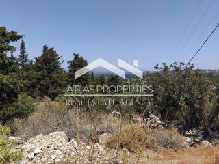 Οικόπεδο 4.603 τ.μ. προς πώληση, Γαβαλοχώρι-thumb-10