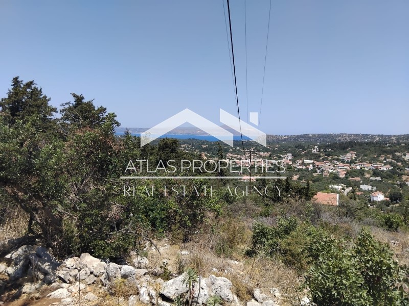 Οικόπεδο 4.603 τ.μ. προς πώληση, Γαβαλοχώρι