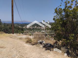 Οικόπεδο 4.603 τ.μ. προς πώληση, Γαβαλοχώρι-thumb-8