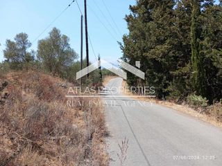 Οικόπεδο 8.500 τ.μ. για πώληση, Ν. Χανίων, Βάμος-thumb-1