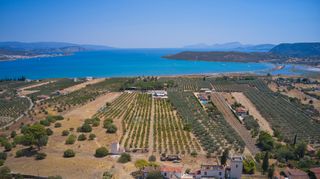Αγροτεμάχια 17.081 τ.μ. για πώληση