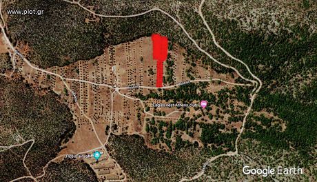 Αγροτεμάχια 5.500 τ.μ. για πώληση