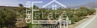 Οικόπεδο 549 τ.μ. για πώληση, Ν. Λασιθίου, Μακρύς Γιαλός-thumb-4
