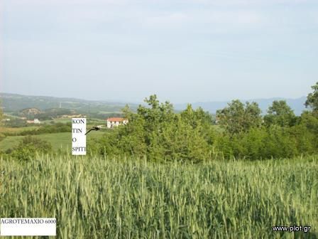 Parcel 6.000 sqm for sale