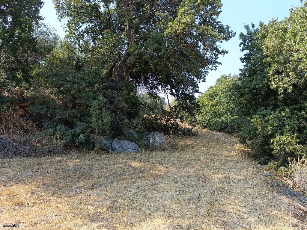 Οικόπεδο 2.838 τ.μ. πρός πώληση, Δωδεκάνησα, Λέρος