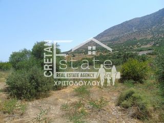 Αγροτεμάχια 180 τ.μ. πρός πώληση, Ν. Λασιθίου, Ιεράπετρα-thumb-3