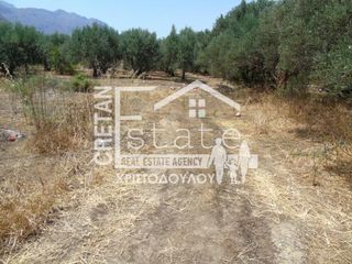 Αγροτεμάχια 180 τ.μ. πρός πώληση, Ν. Λασιθίου, Ιεράπετρα-thumb-6