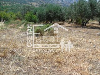 Αγροτεμάχια 180 τ.μ. πρός πώληση, Ν. Λασιθίου, Ιεράπετρα-thumb-5