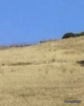 Οικόπεδο 8.200τ.μ. για πώληση-Κύθνος » Απόκριση