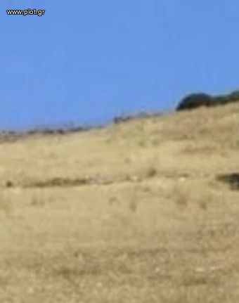 Οικόπεδο 8.200 τ.μ. για πώληση, Κυκλάδες, Κύθνος