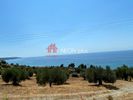 Αγροτεμάχια 4.735τ.μ. για πώληση-Κασσάνδρα » Μόλες καλύβες