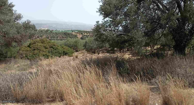 Αγροτεμάχια 6.580 τ.μ. πρός πώληση, Ν. Ηρακλείου, Τυμπάκι
