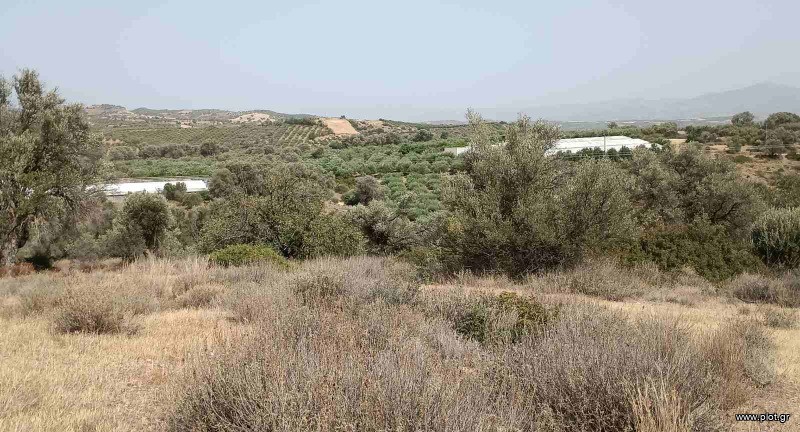 Αγροτεμάχια 6.580 τ.μ. πρός πώληση, Ν. Ηρακλείου, Τυμπάκι