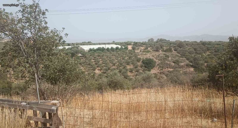Αγροτεμάχια 6.580 τ.μ. πρός πώληση, Ν. Ηρακλείου, Τυμπάκι