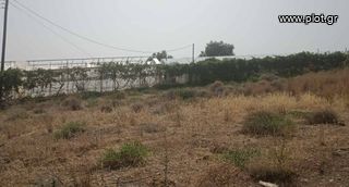 Αγροτεμάχια 6.580 τ.μ. προς πώληση, Λαγολί-thumb-5